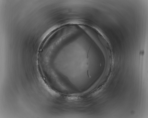 X0000113220853200910011343