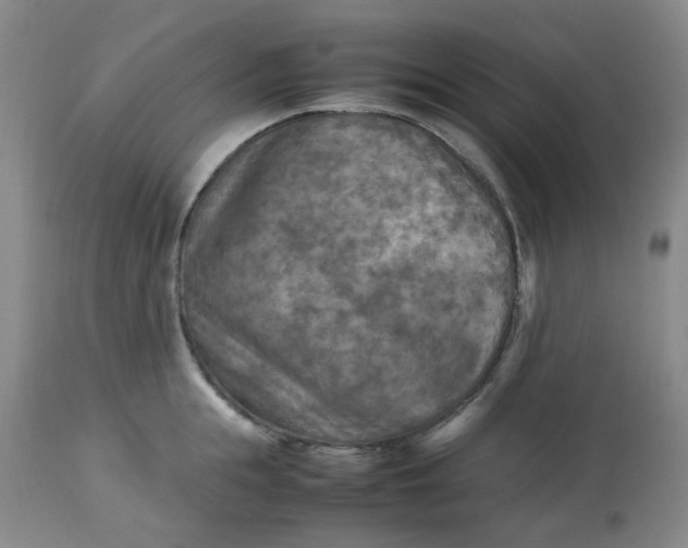 X0000113220855200910011343