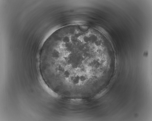 X0000113220859200910011343