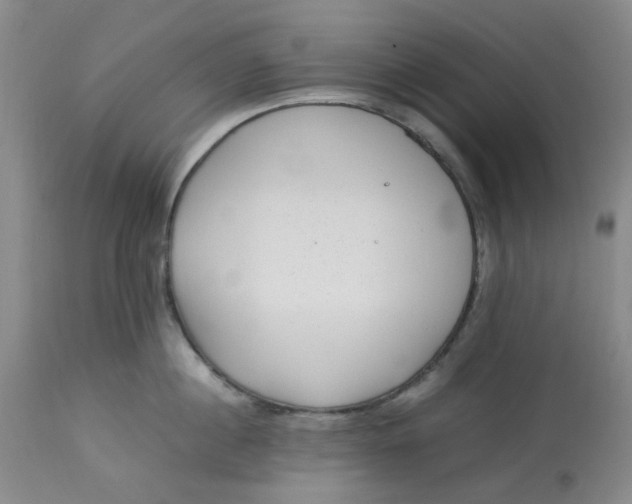 X0000113220860200910011343