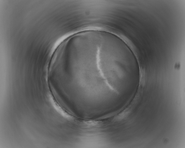 X0000113220862200910011343