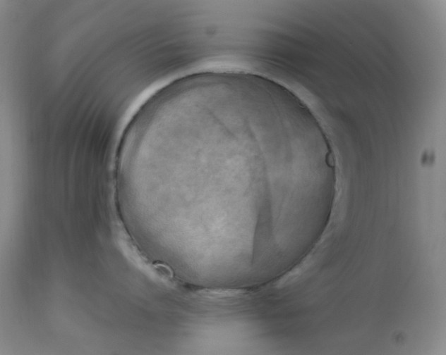 X0000113220864200910011343