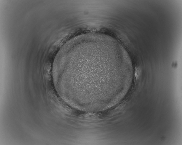 X0000113220867200910011343