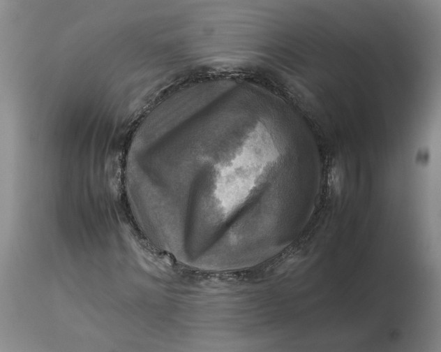 X0000113220868200910011343