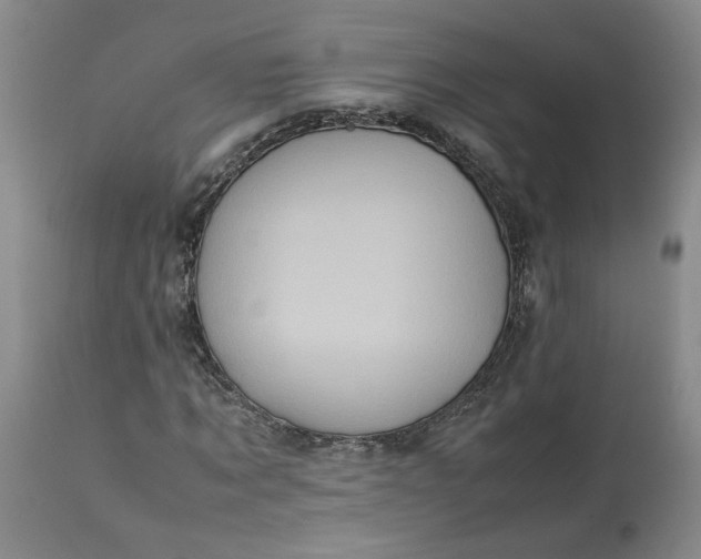 X0000113220869200910011343