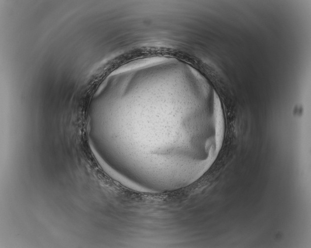 X0000113220870200910011343