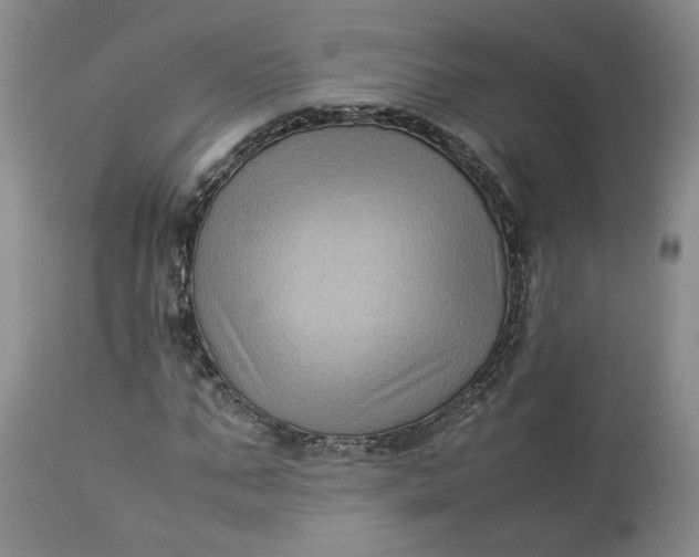 X0000113220871200910011343