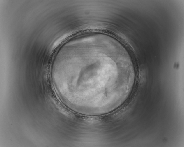 X0000113220874200910011343