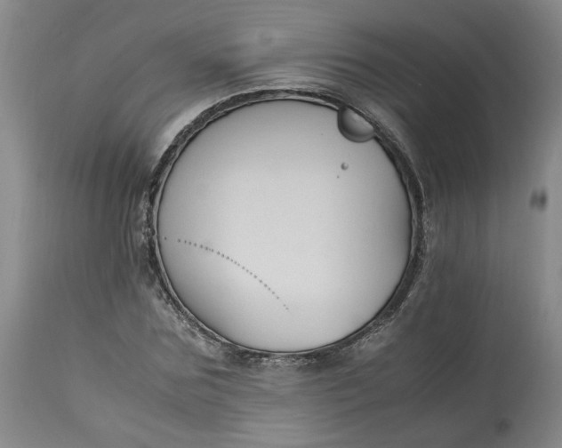 X0000113220875200910011343