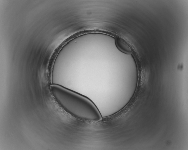 X0000113220876200910011343