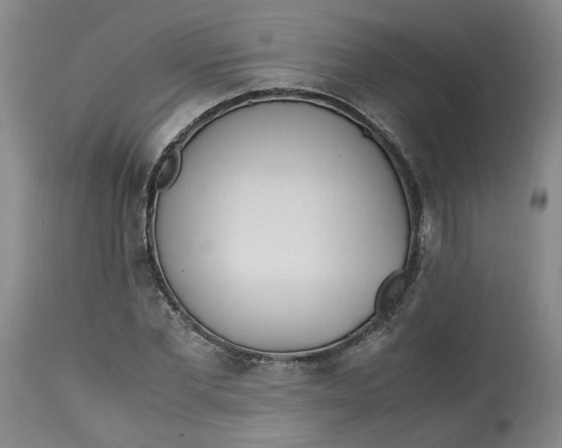 X0000113220877200910011343