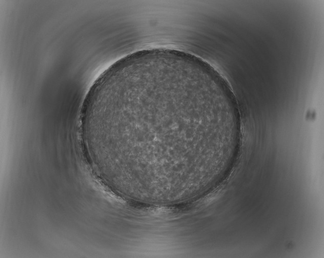 X0000113220879200910011343