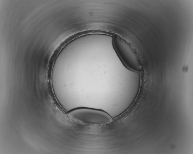 X0000113220880200910011343