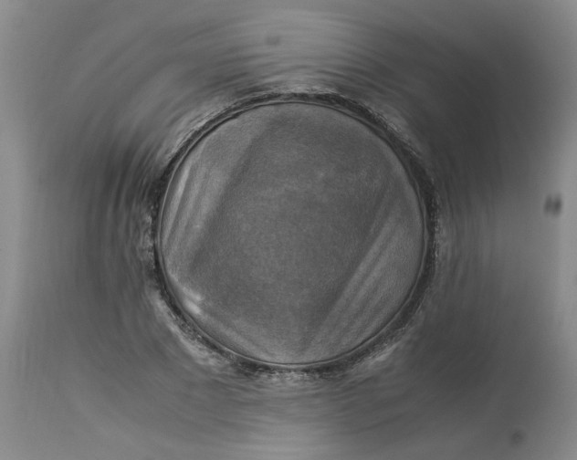 X0000113220881200910011343