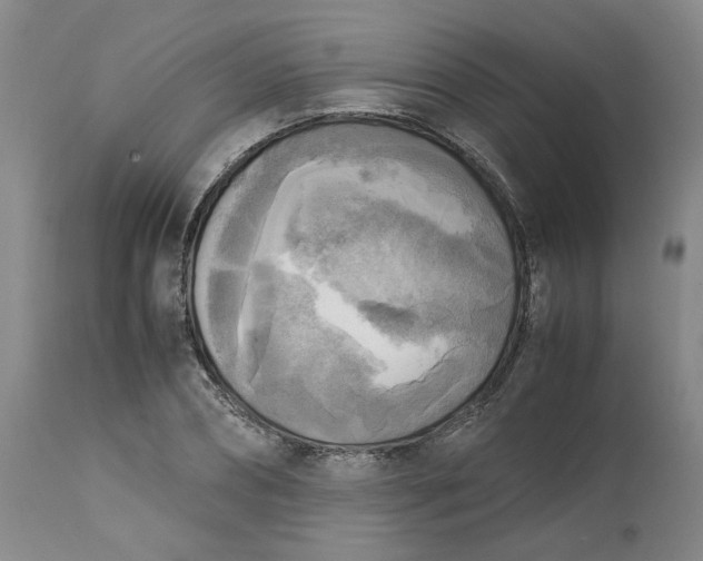 X0000113220882200910011342