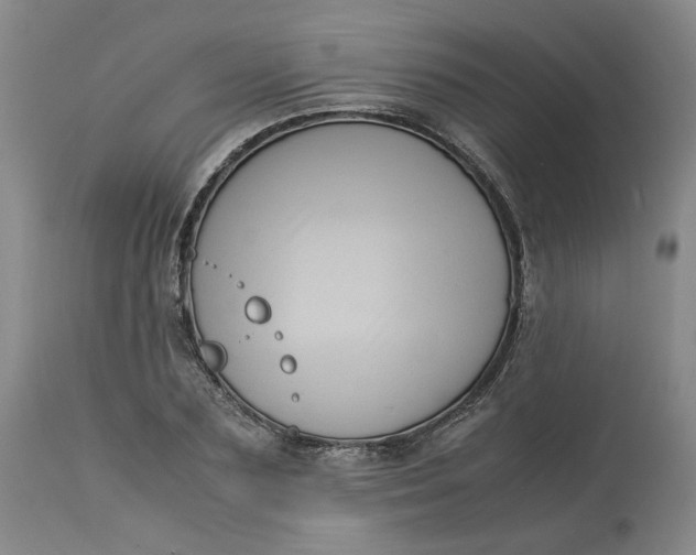 X0000113220883200910011342