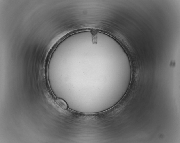 X0000113220884200910011342