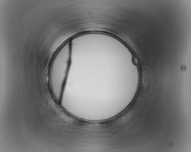 X0000113220885200910011342