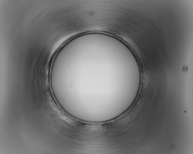 X0000113220886200910011342