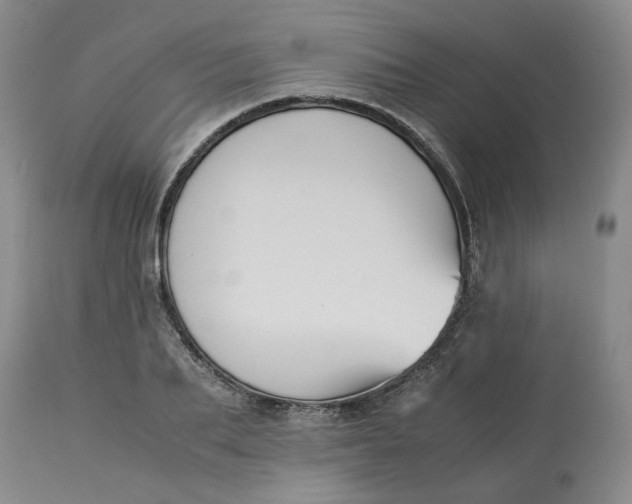 X0000113220887200910011342