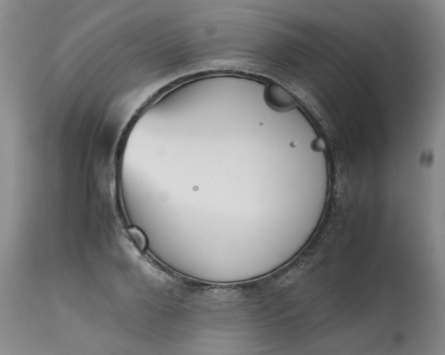 X0000113220888200910011342