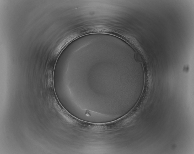 X0000113220889200910011342