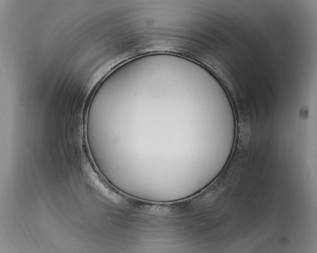 X0000113220890200910011342