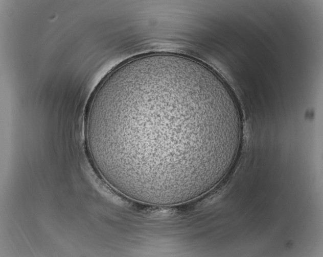 X0000113220891200910011342