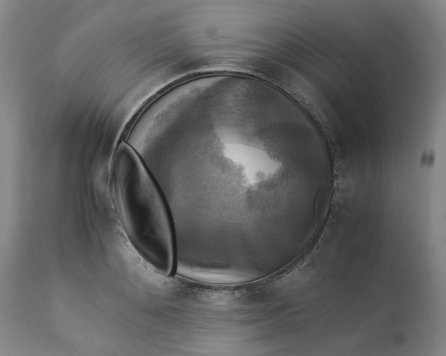 X0000113220892200910011342