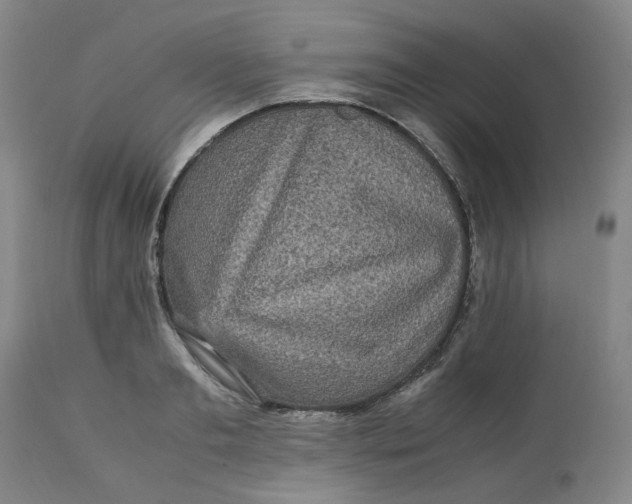 X0000113220893200910011342