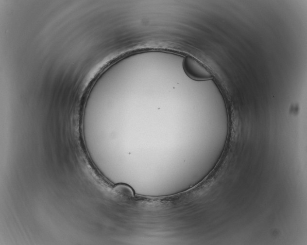 X0000113220896200910011342