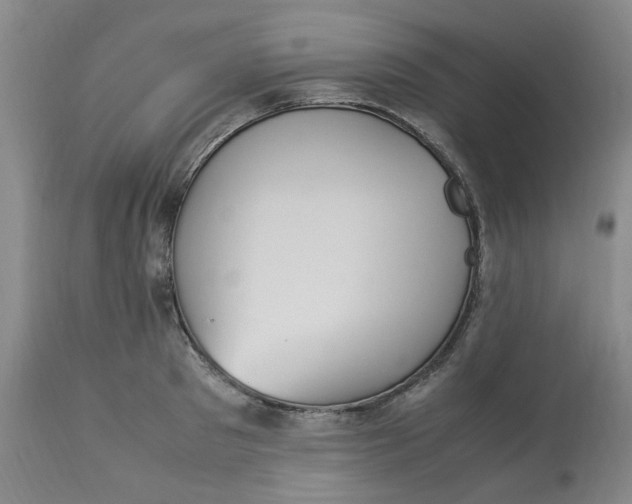 X0000113220897200910011342