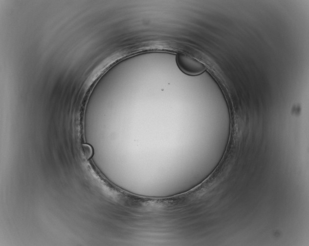 X0000113220898200910011342