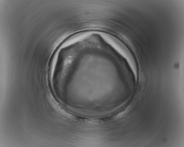 X0000113220899200910011342