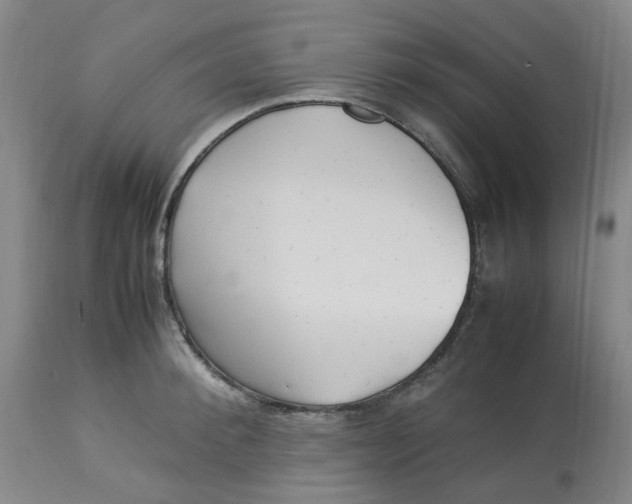 X0000113220900200910011342