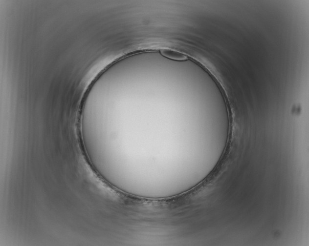 X0000113220901200910011342