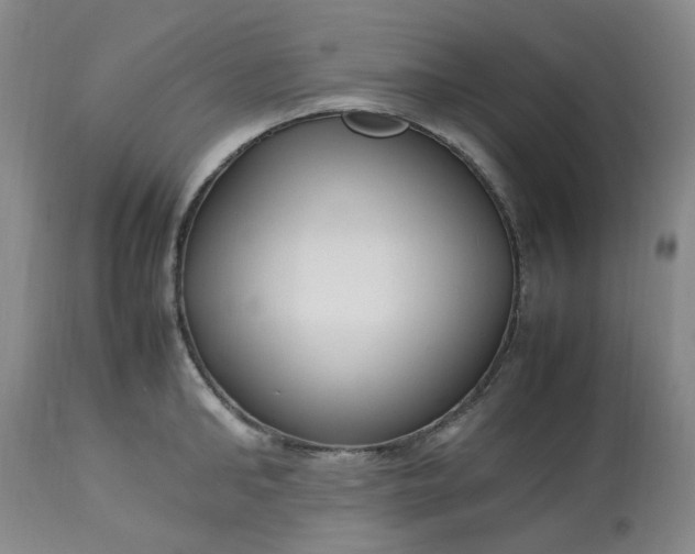 X0000113220902200910011342