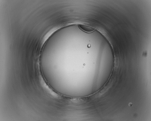 X0000113220906200910011342