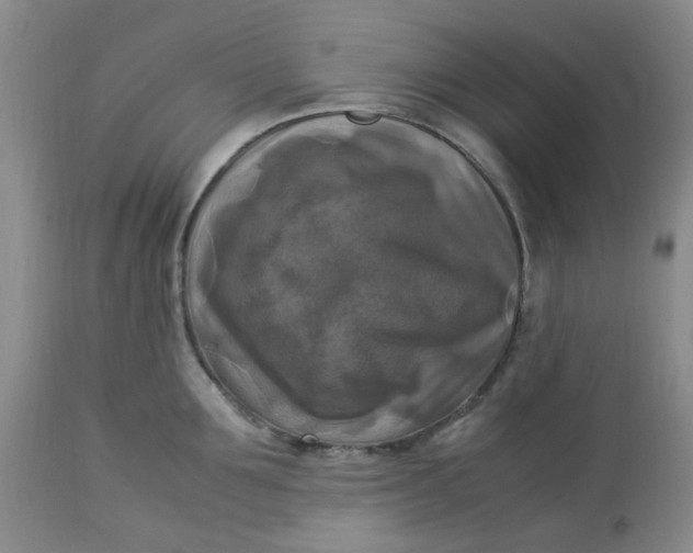 X0000113220907200910011342