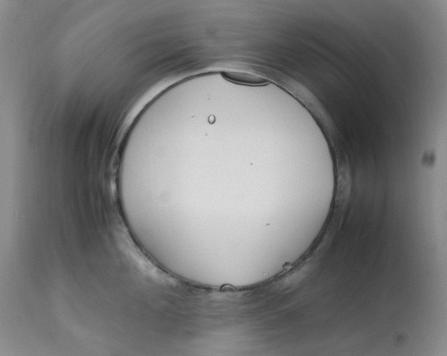 X0000113220908200910011342