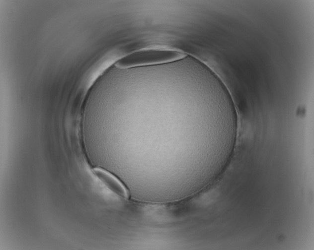 X0000113220909200910011342