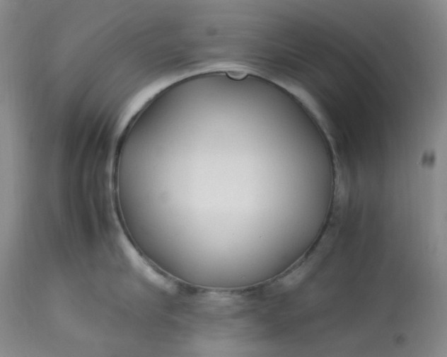 X0000113220910200910011342