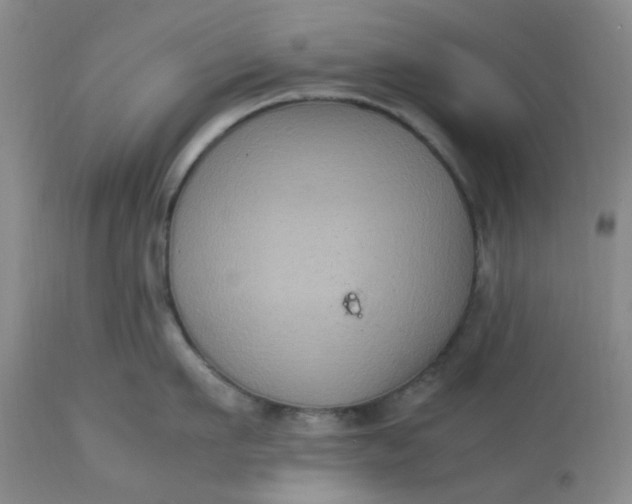 X0000113220911200910011342