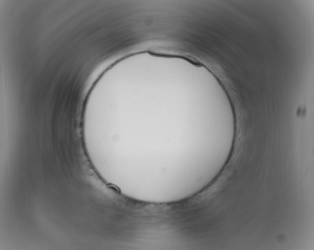 X0000113220912200910011342