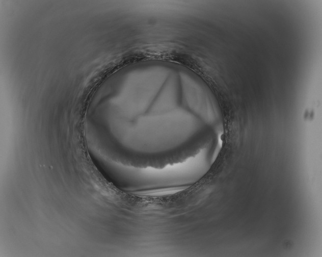 X0000113220913200910011341