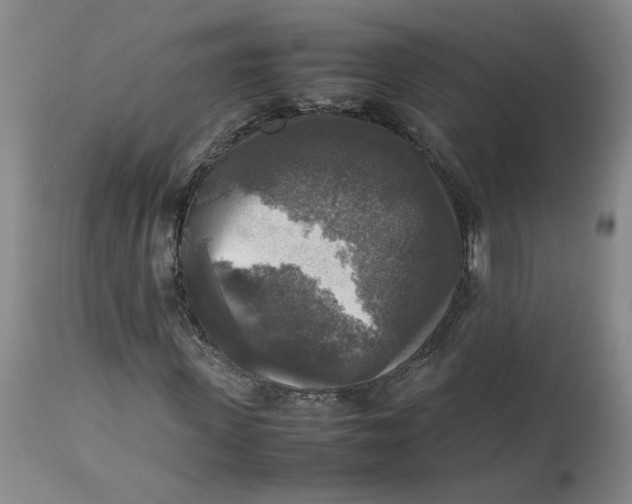 X0000113220915200910011341