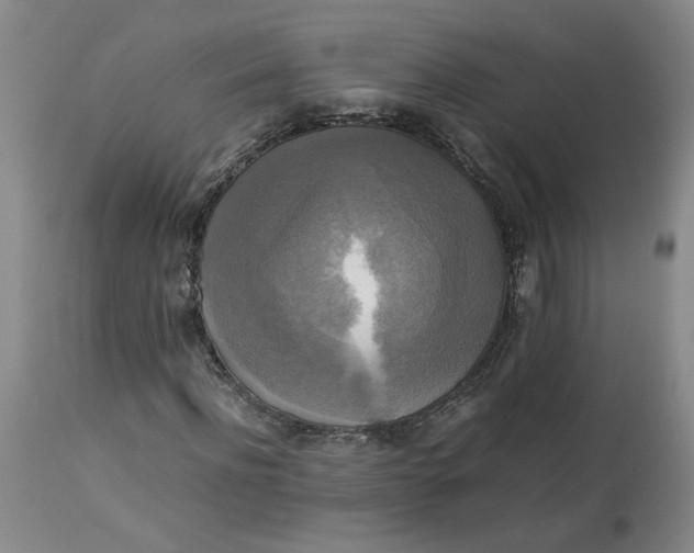 X0000113220916200910011341