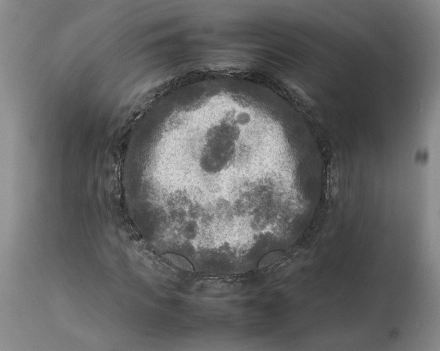 X0000113220917200910011341