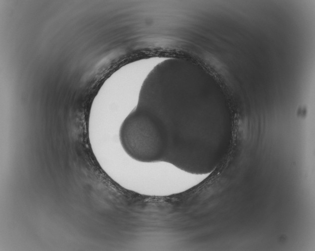 X0000113220918200910011341