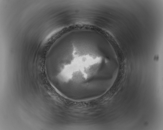 X0000113220919200910011341